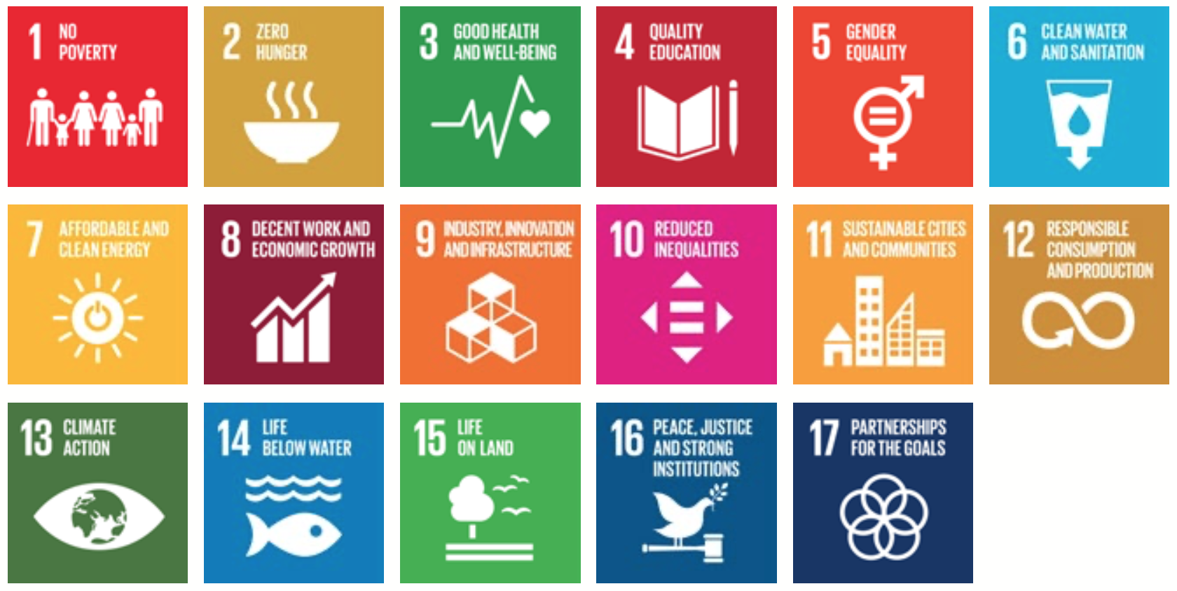 2030 Agenda Goals